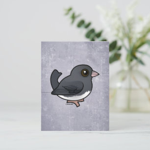 Dark-eyed Junco (slate-coloured) Postcard