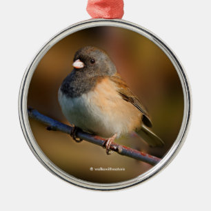Dark-Eyed Junco Songbird on a Limb Metal Ornament