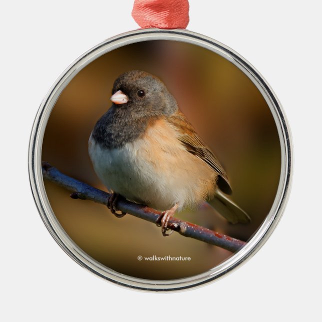 Dark-Eyed Junco Songbird on a Limb Metal Ornament (Front)