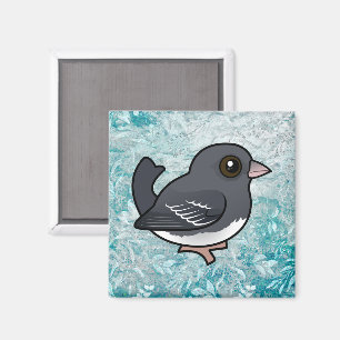 Dark-eyed Junco (white-winged) Magnet