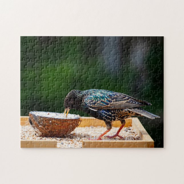 Dark Feathered Bird Eating Coconut Jigsaw Puzzle (Horizontal)