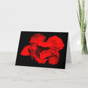 Dark Flower Greeting Cards