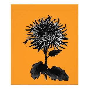 Dark Grandiflora Photo Print