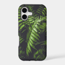Dark Green Fern Leaves Moody Botanical Nature