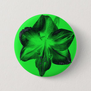 Dark Green on Light Green Amaryllis 2 Inch Round Button