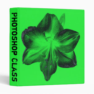 Dark Green on Light Green Amaryllis Binder