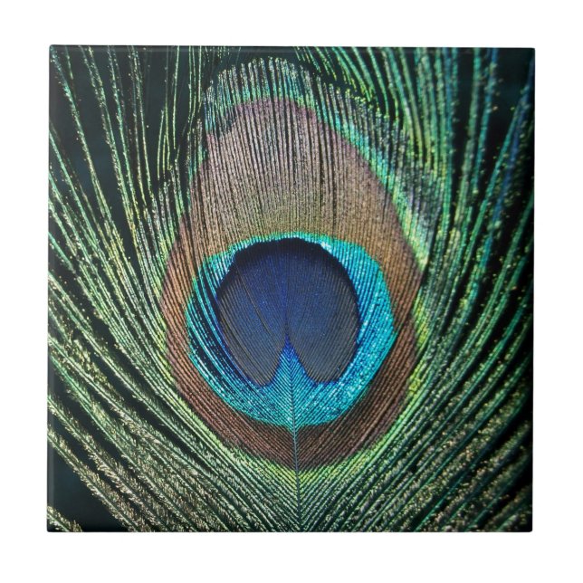 Dark Green Peacock Feather Tile (Front)