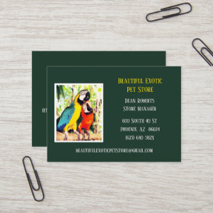 Dark Green Veterinary/ Animal Pet Store Parrots  Business Card