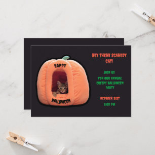 Dark Grey and orange Pumpkin Kitten Halloween  Invitation
