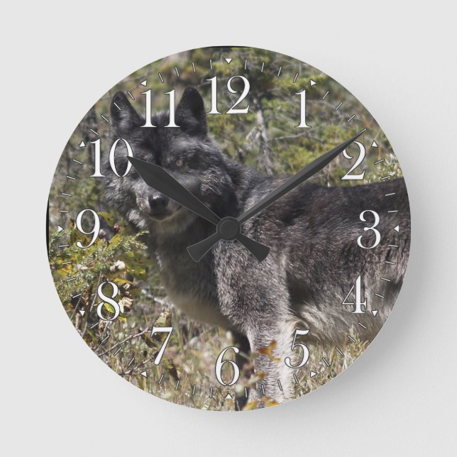 Dark Grey Wolf & Forest Pasture Photo Clock (Front)