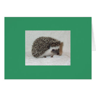 Dark Hedgehog Card