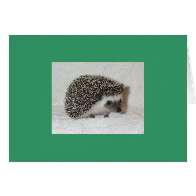 Dark Hedgehog Card (Front Horizontal)