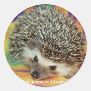 dark hedgehog sticker