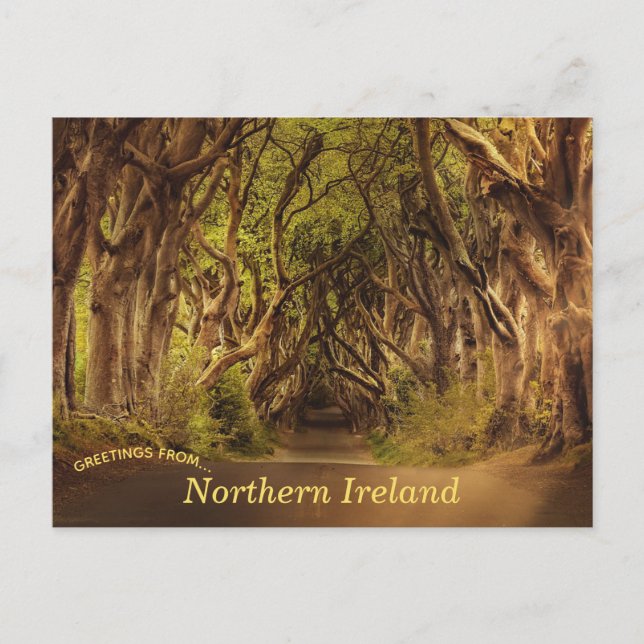 Dark Hedges Carte postale Irlande du Nord (Devant)