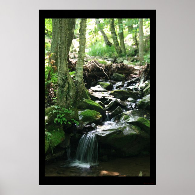 Dark Hollow Falls Print #4836 (Front)