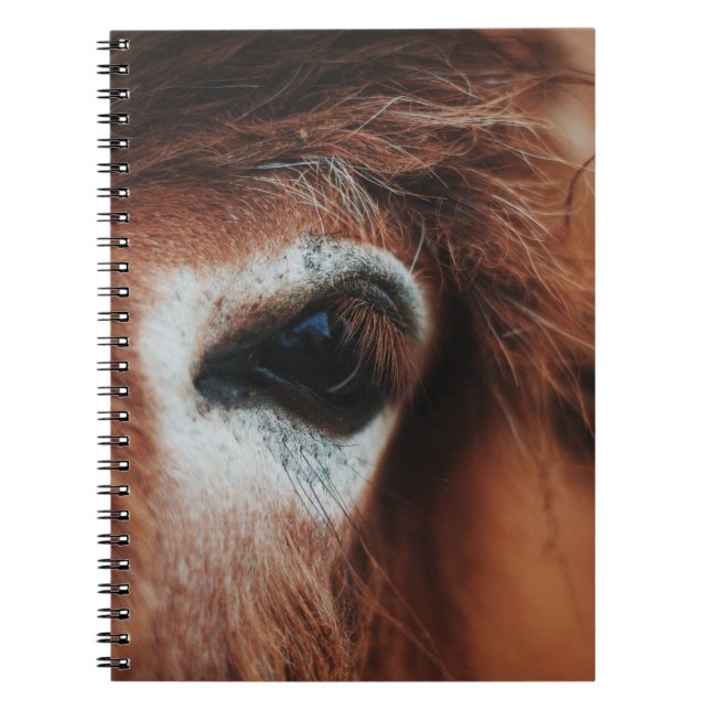DARK HORSE EYE NOTEBOOK (Front)