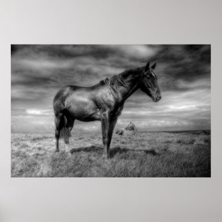 Dark Horse Poster