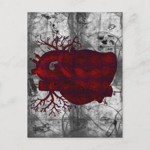 Dark Human Heart Postcard