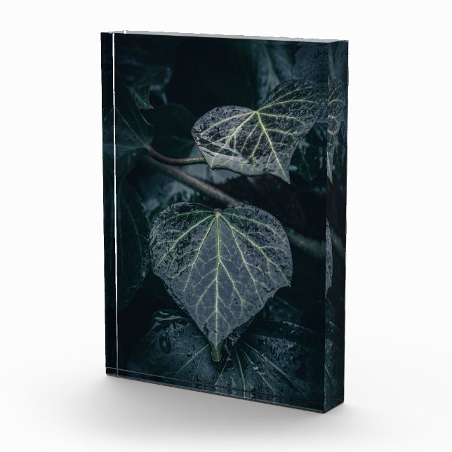 Dark Ivy Nature Photo Block (Right)