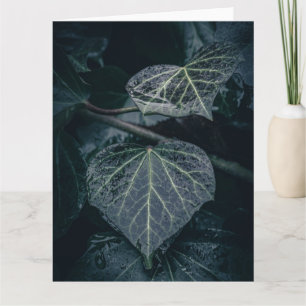 Dark Ivy Nature Photo Card