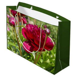 Dark Maroon velvet peonies Large Gift Bag