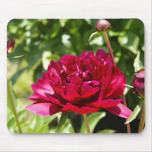 Dark Maroon velvet peonies Mouse Pad
