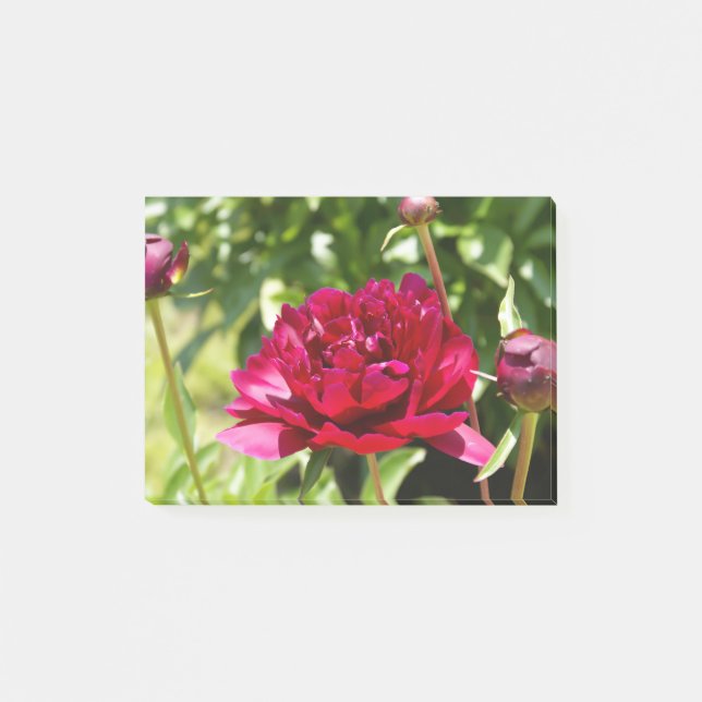 Dark Maroon velvet peonies Post-it Notes (Front)