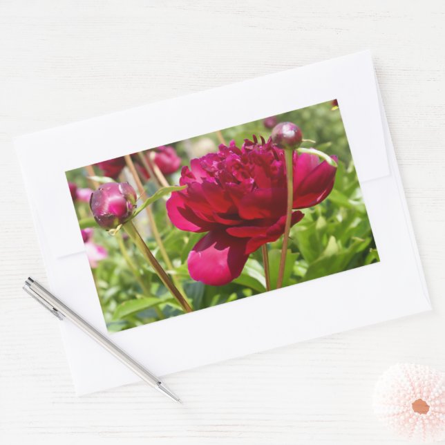 Dark Maroon velvet peonies Sticker (Envelope)