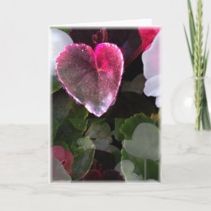 Dark Mirror Card
