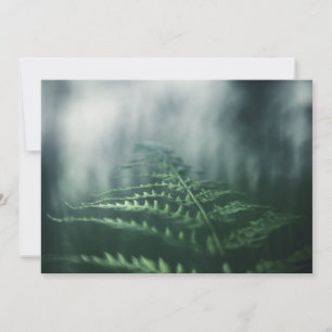 Dark Moody Fern carte photo nature