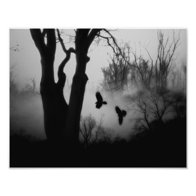 Dark Mysterious Forest Crows Photo Print (Front)