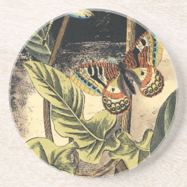 Dark Nature Scene by Vision Studio Coaster (Front)