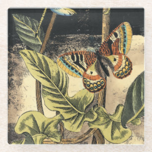 Dark Nature Scene by Vision Studio Glass Coaster