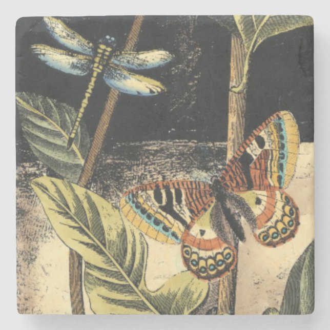 Dark Nature Scene by Vision Studio Stone Coaster (Front)