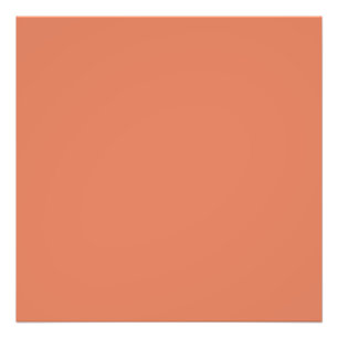 Dark Peach (solid colour) Photo Print