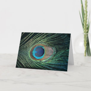 Dark Peacock Feather Card