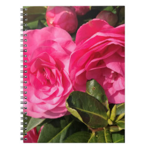 Dark pink Camellia Flowers Notebook
