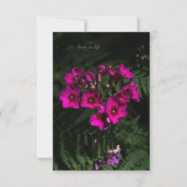 Dark Pink Flower with Ferns Card (Front)