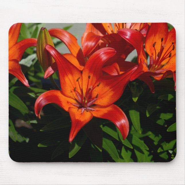 Dark-Pink Orange Lily Mouse Pad (Front)