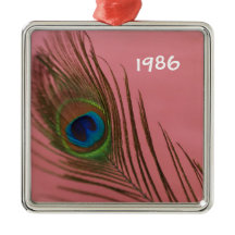 Dark Pink Peacock Feather Still Life