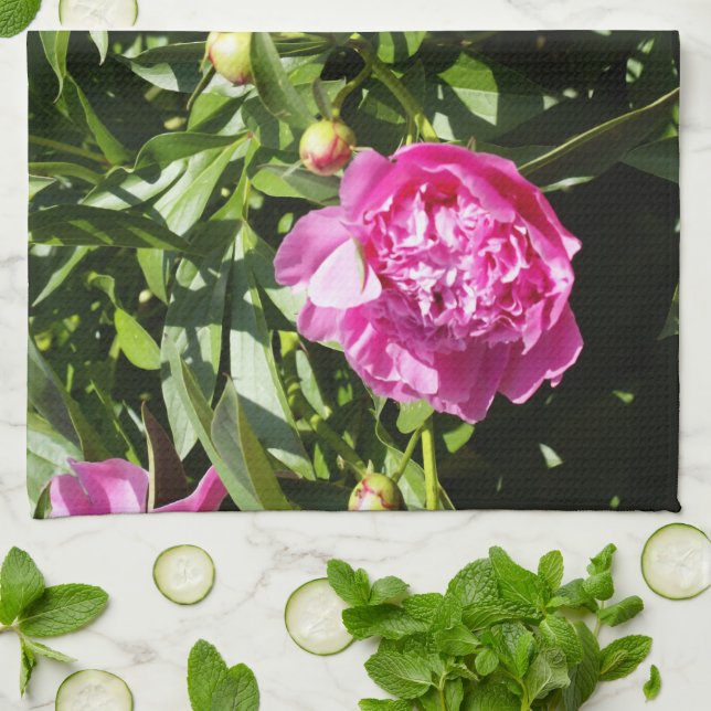 Dark pink peonies  kitchen towel (Folded)