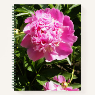 Dark pink peonies notebook