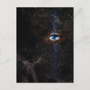 Dark Postcard