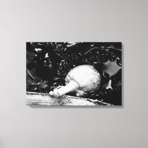 dark protector canvas print
