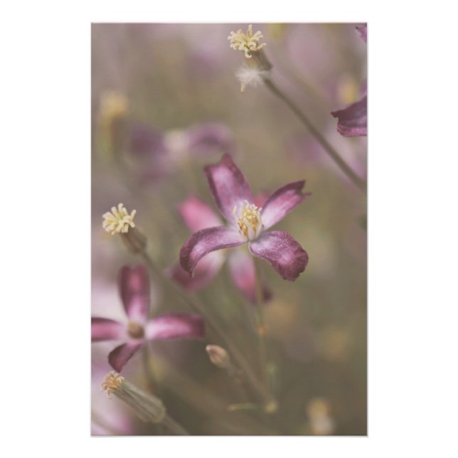 Dark Purple Flower Blossoms Floral Poster (Front)