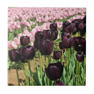 Dark Purple & Pink Tulips Tile