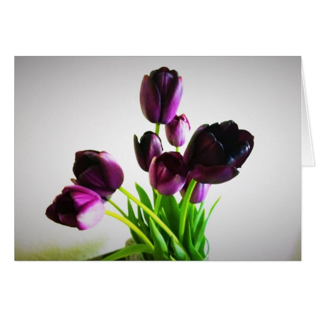 Dark Purple Tulips (Front Horizontal)