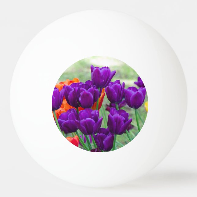 Dark purple tulips  jigsaw    ping pong ball (Front)