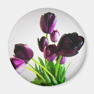 Dark Purple Tulips Magnet