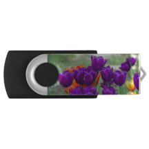 Dark purple tulips  on a sunny day in the garden  